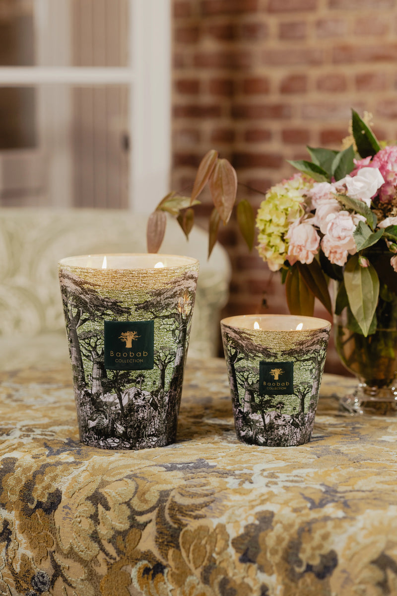 Bougie Baobab - Sacred Trees Touba - I.D DECO MARSEILLE