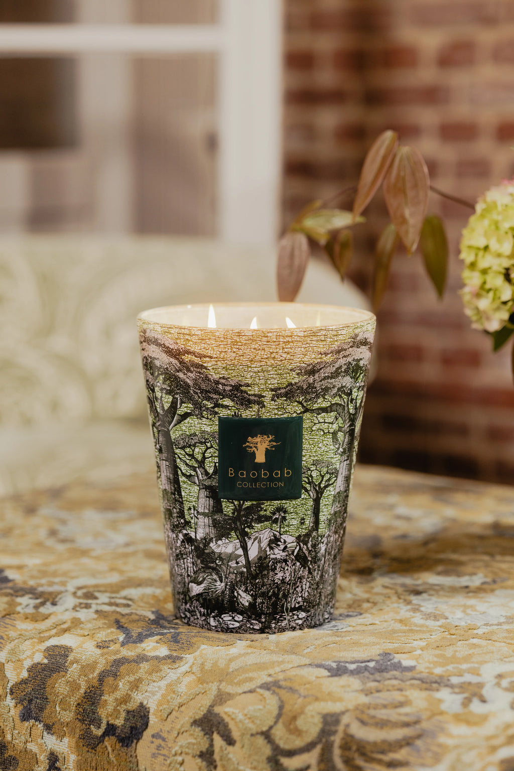 Bougie Baobab - Sacred Trees Touba