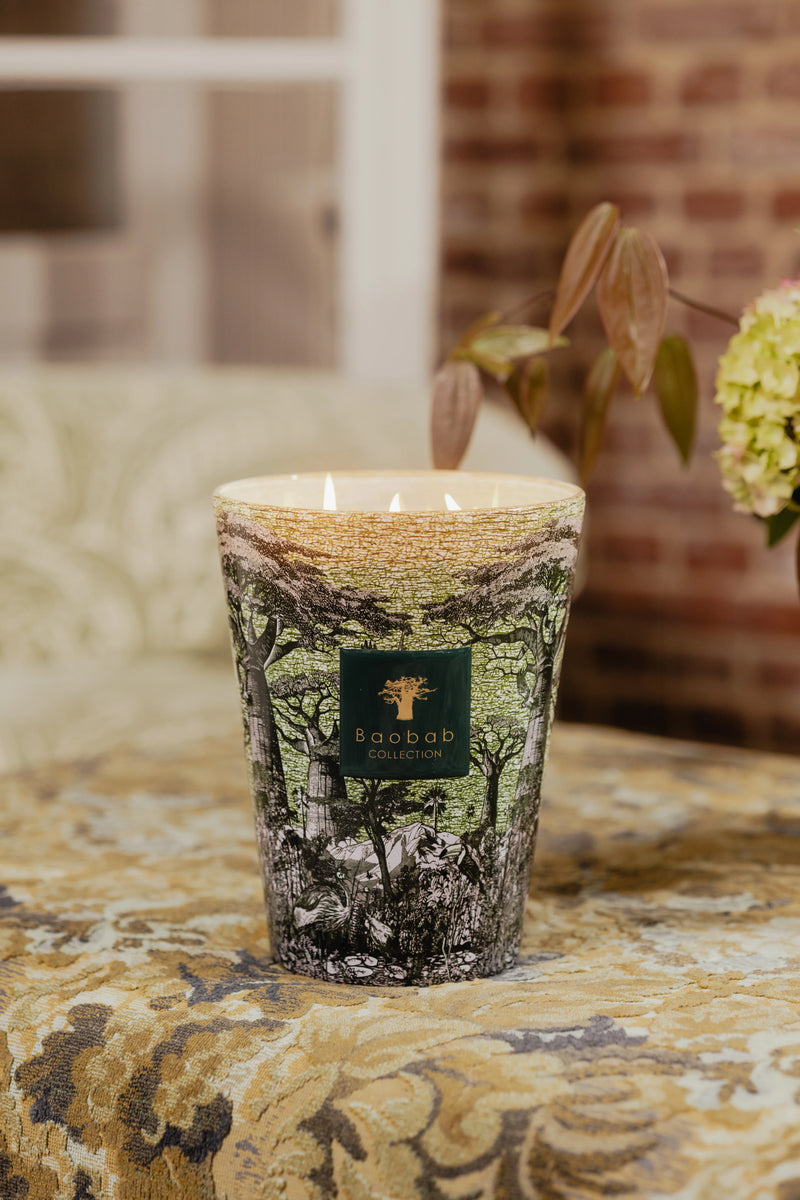 Bougie Baobab - Sacred Trees Touba - I.D DECO MARSEILLE