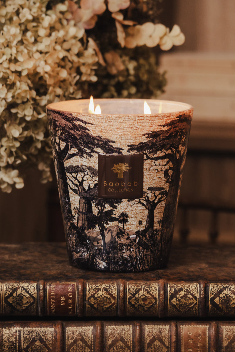 Bougie Baobab - Sacred Trees Mankono - I.D DECO MARSEILLE