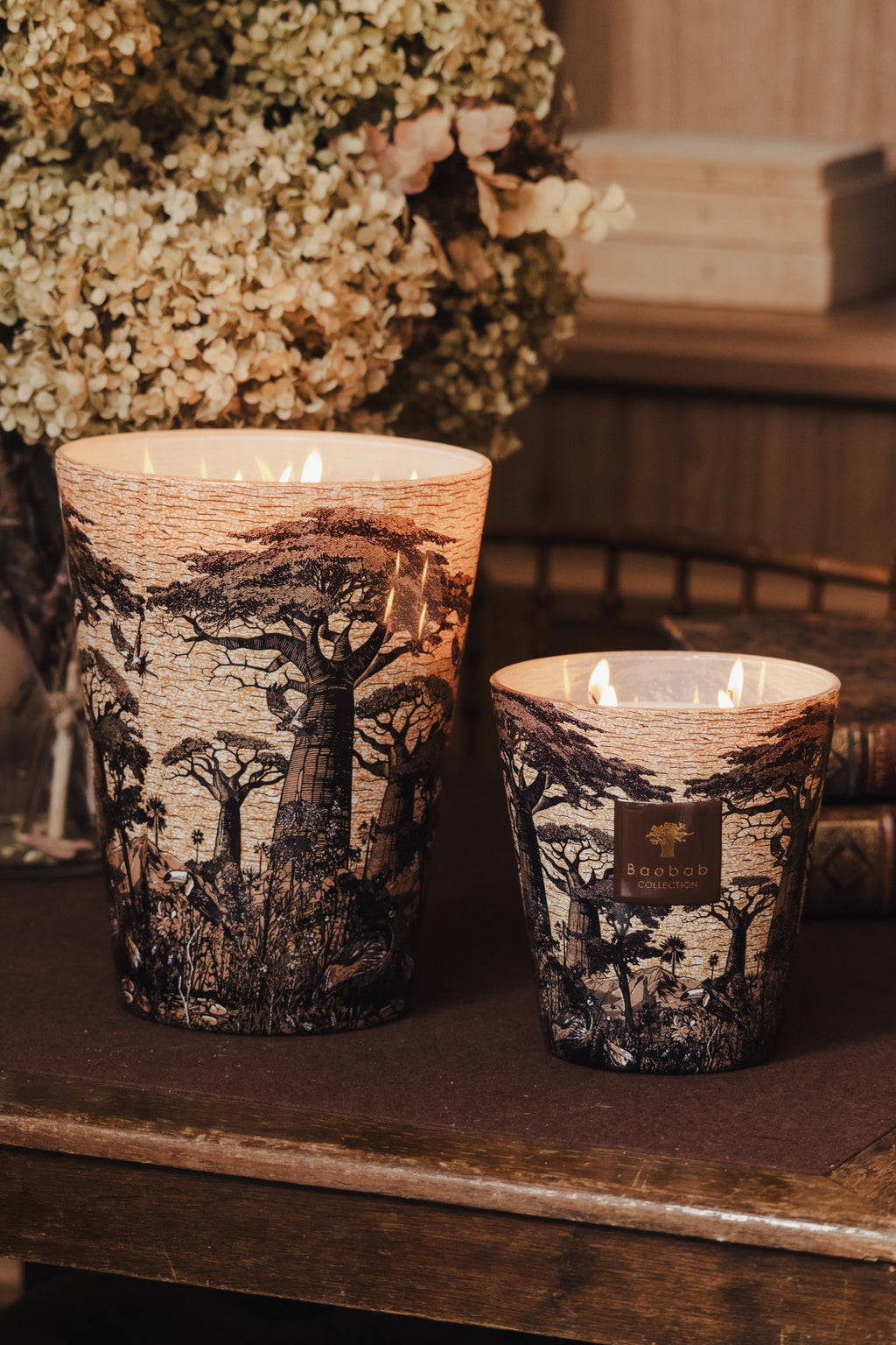Bougie Baobab - Sacred Trees Mankono
