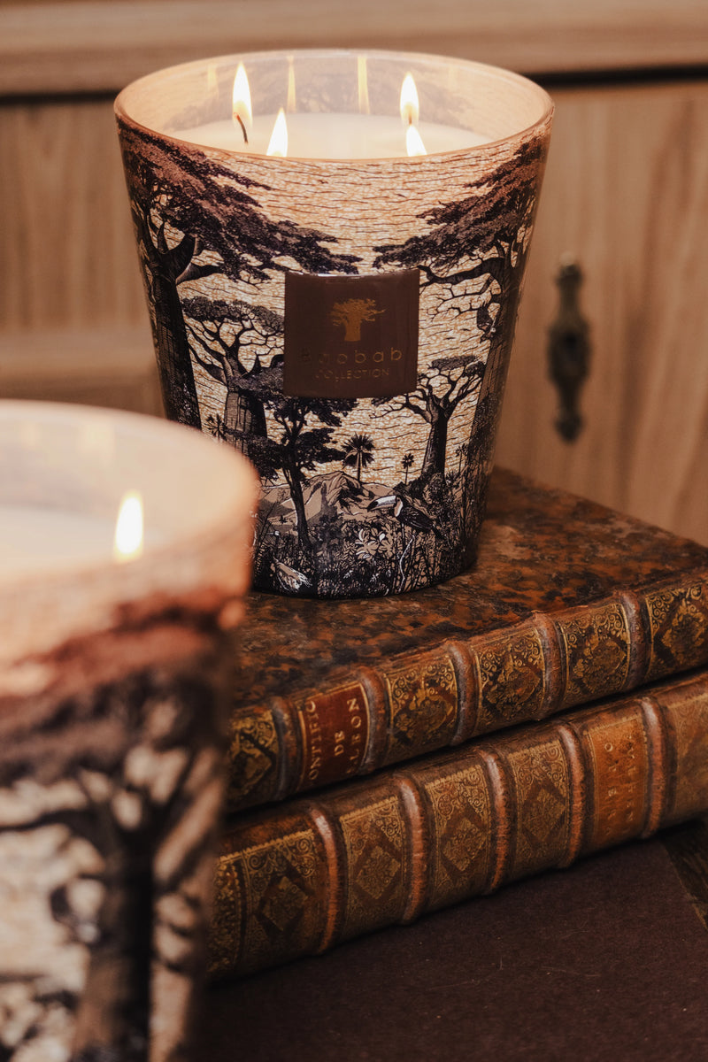 Bougie Baobab - Sacred Trees Mankono - I.D DECO MARSEILLE