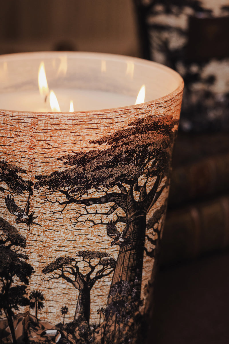 Bougie Baobab - Sacred Trees Mankono - I.D DECO MARSEILLE