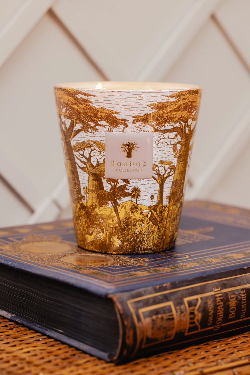 Bougie Baobab - Sacred Trees Bounkani - I.D DECO MARSEILLE