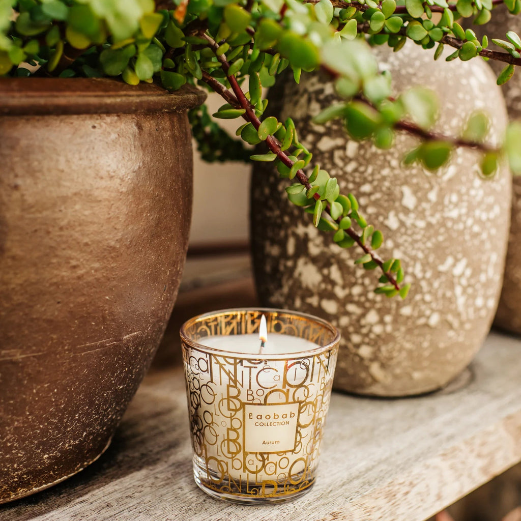 Bougie My First Aurum - Baobab - I.D DECO MARSEILLE