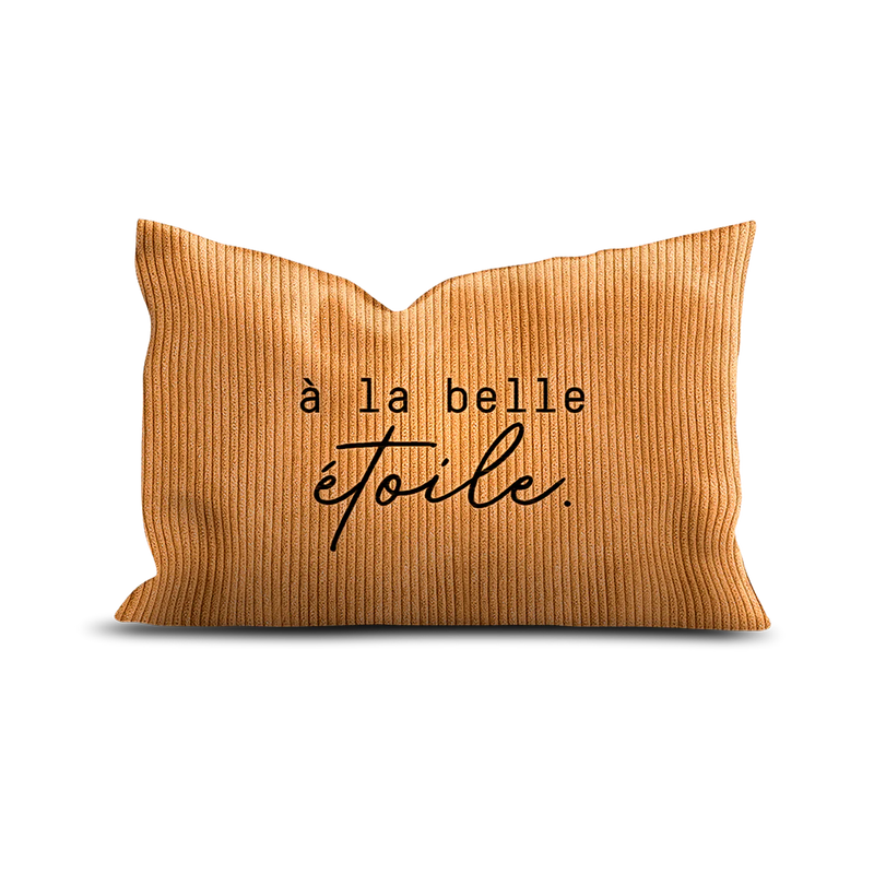 Coussin Velours Brodé Belle Étoile - Pôdevache