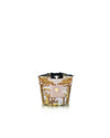 Bougie Baobab - Sacred Trees Bounkani - I.D DECO MARSEILLE