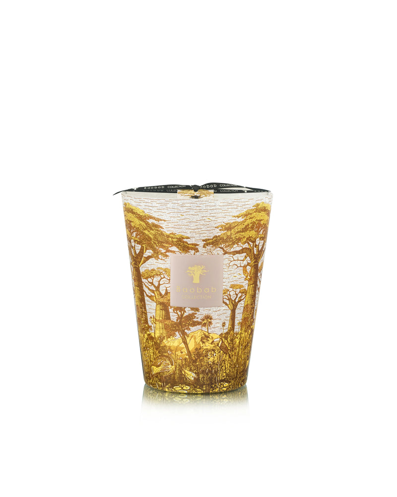 Bougie Baobab - Sacred Trees Bounkani - I.D DECO MARSEILLE
