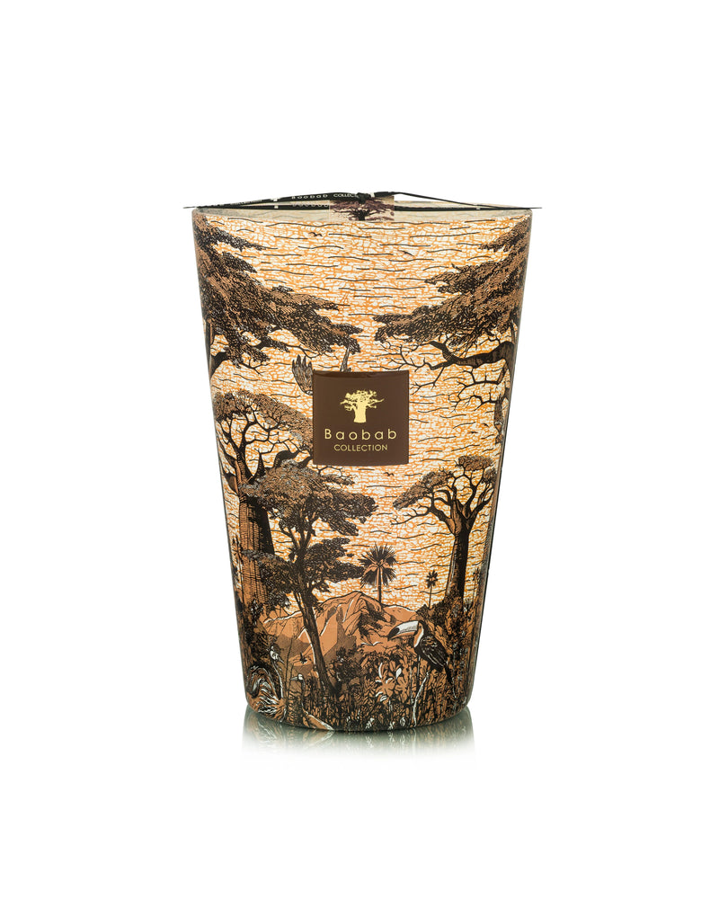 Bougie Baobab - Sacred Trees Mankono - I.D DECO MARSEILLE