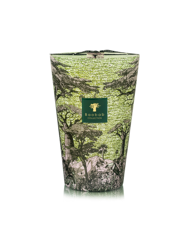 Bougie Baobab - Sacred Trees Touba - I.D DECO MARSEILLE