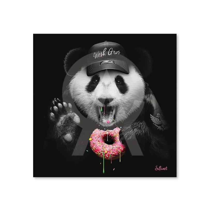 Sylvain Binet - Donuts - 20x20cm