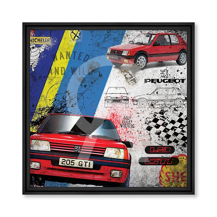 Rubix - 205 GTI 1.9