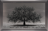 Tableau arbre de vie gris anthracite, gel et strass en relief, disponible chez I.D DECO Marseille